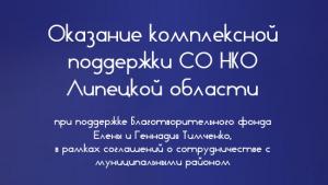 Оказание комплексной поддержки СО НКО Липецкой области